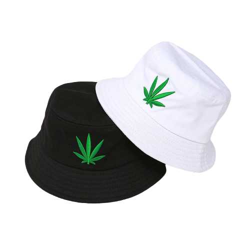 Bob cannabis - La Maison Du Bob
